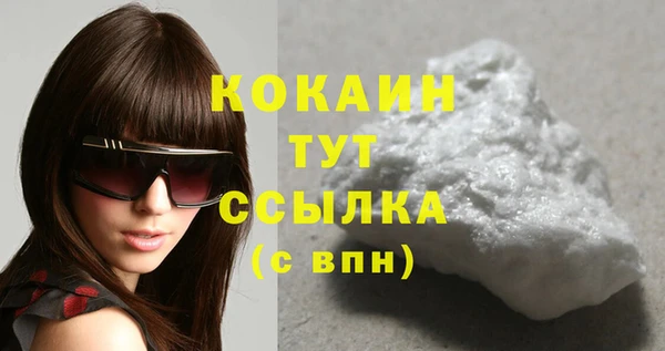 ГАЛЛЮЦИНОГЕННЫЕ ГРИБЫ Лагань