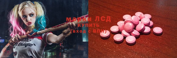 ГАЛЛЮЦИНОГЕННЫЕ ГРИБЫ Лагань
